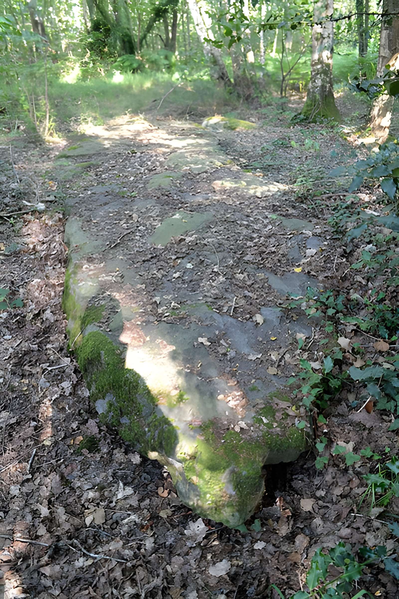 Monument mégalithique dénommée La Pierre de la Chopinière