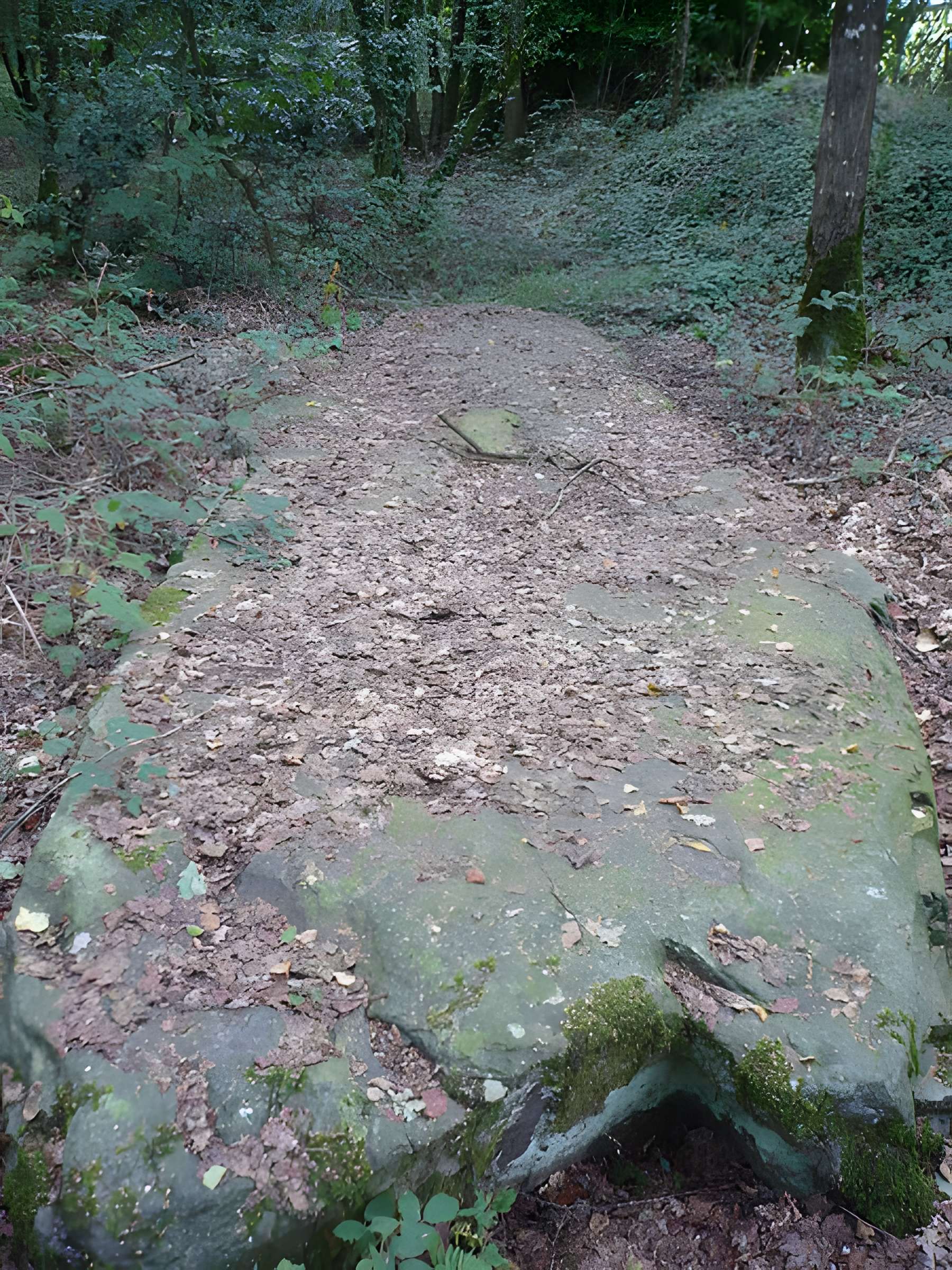 Monument mégalithique dénommée La Pierre de la Chopinière