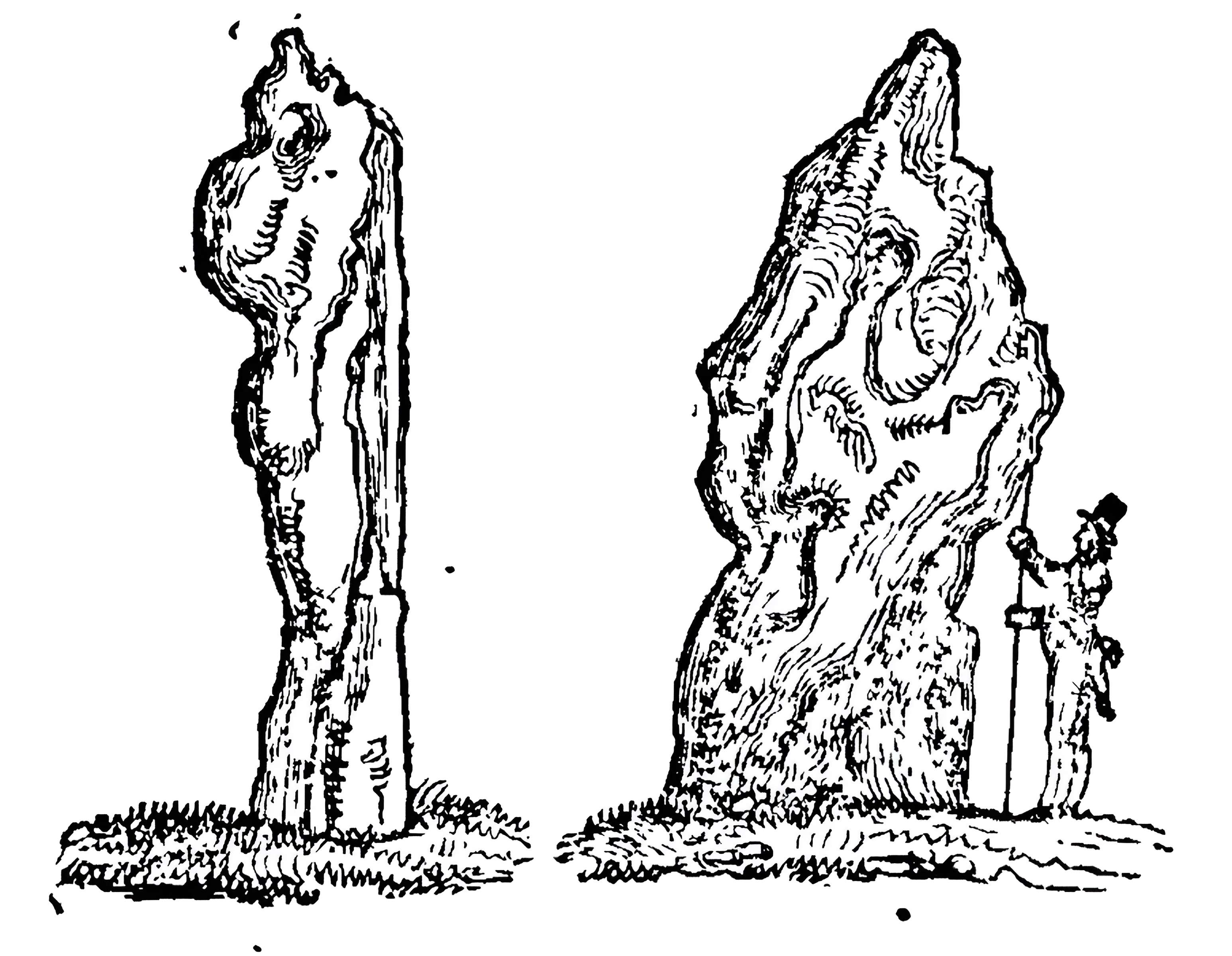 Pierre de la Joure de Saint-Ouen-d'Attez