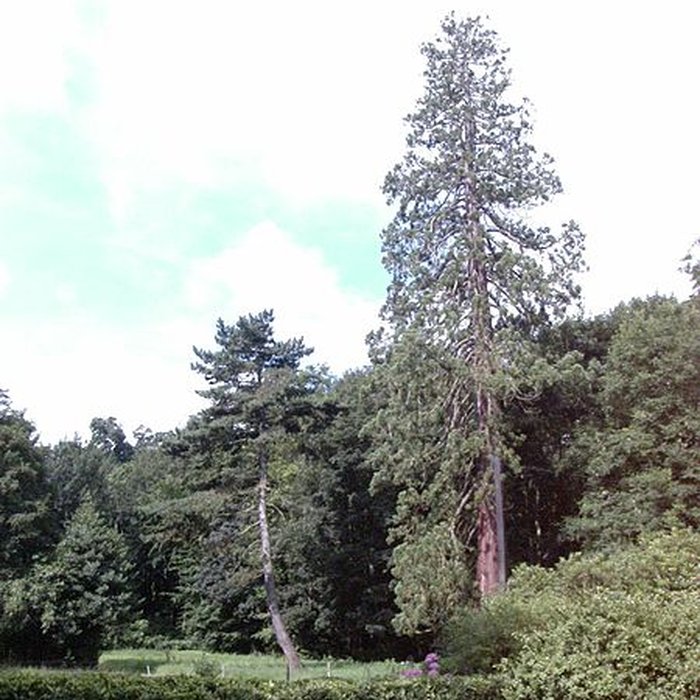 Photo de Château de Filières