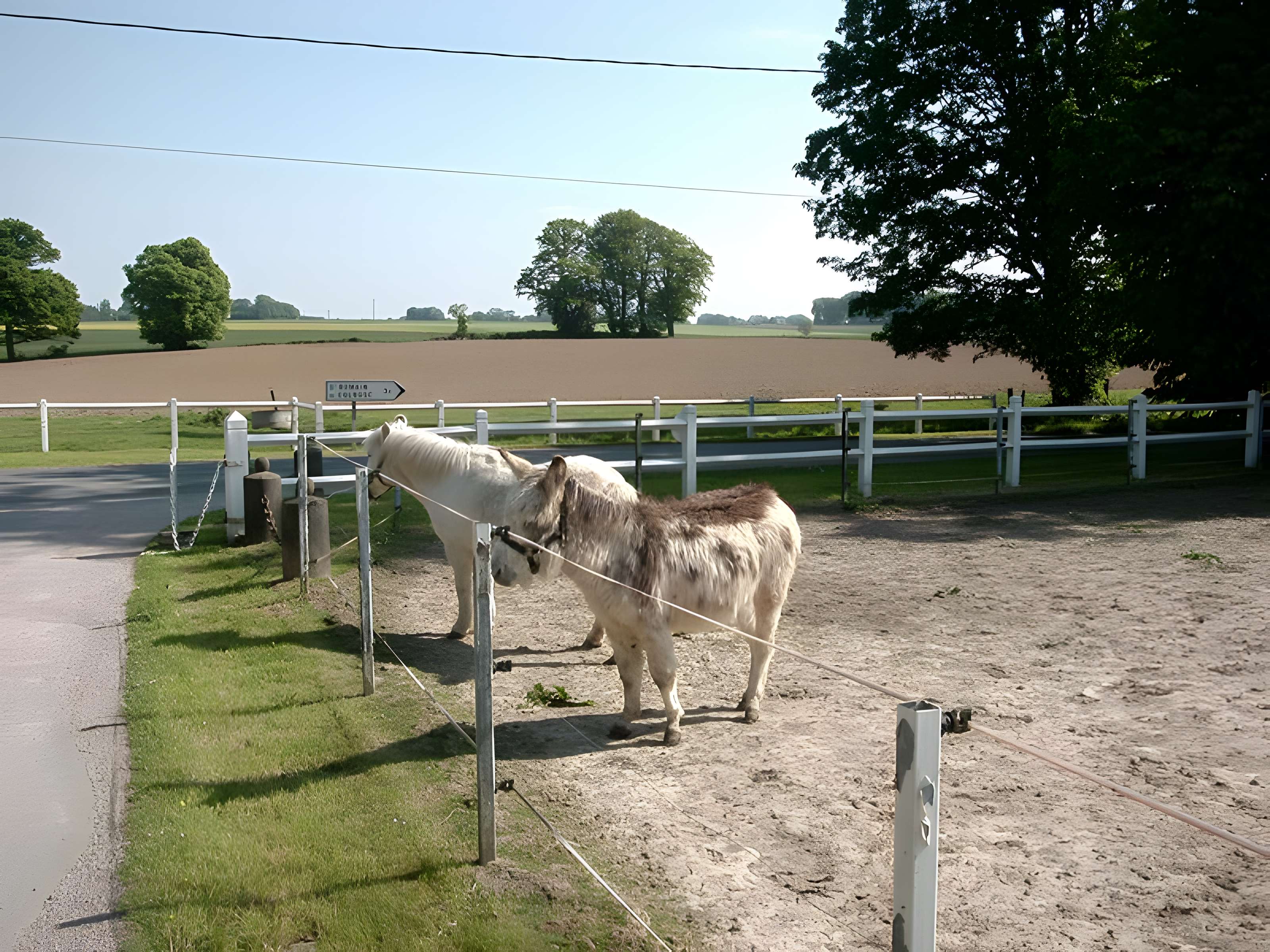 Château de Filières