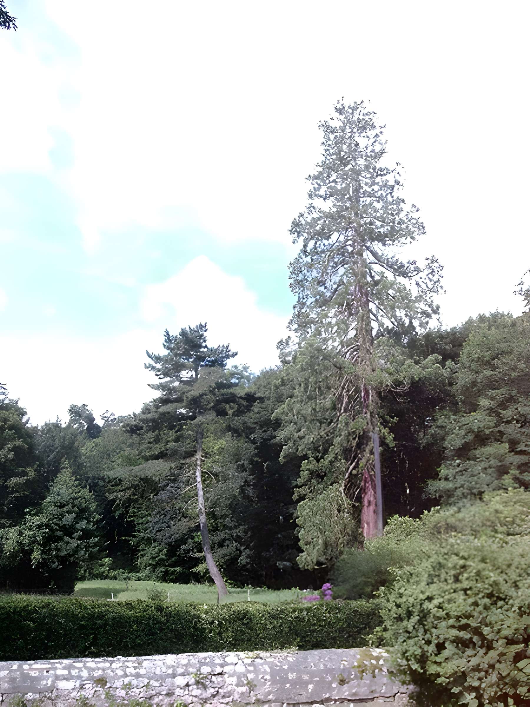 Château de Filières