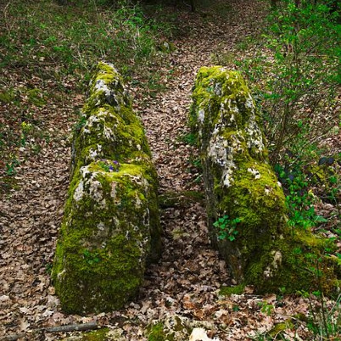 Photo de Pierre de Matafin de Chardonnay