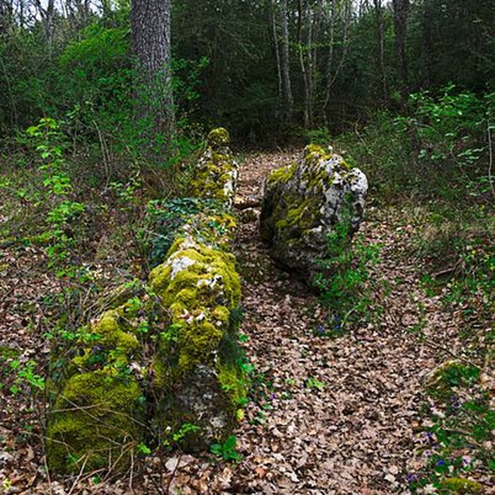 Photo de Pierre de Matafin de Chardonnay