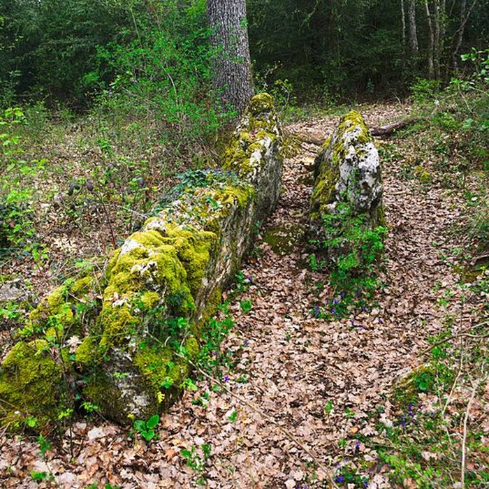 Photo de Pierre de Matafin de Chardonnay
