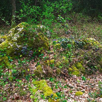 Pierre de Matafin de Chardonnay
