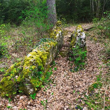 Pierre de Matafin de Chardonnay