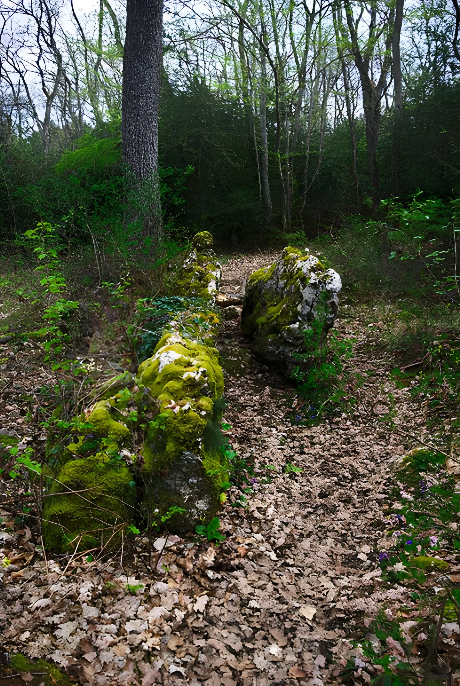 Pierre de Matafin de Chardonnay