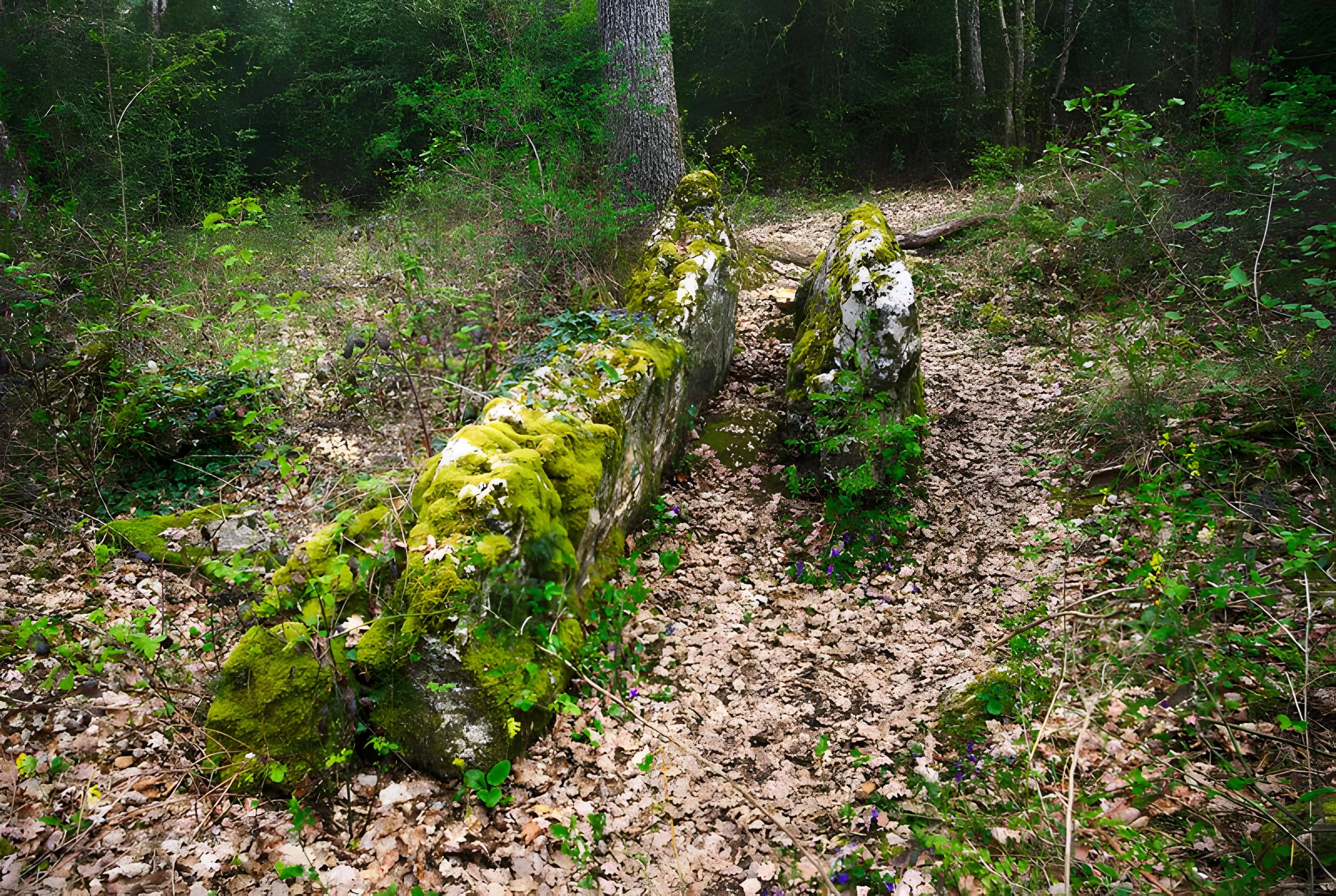 Pierre de Matafin de Chardonnay