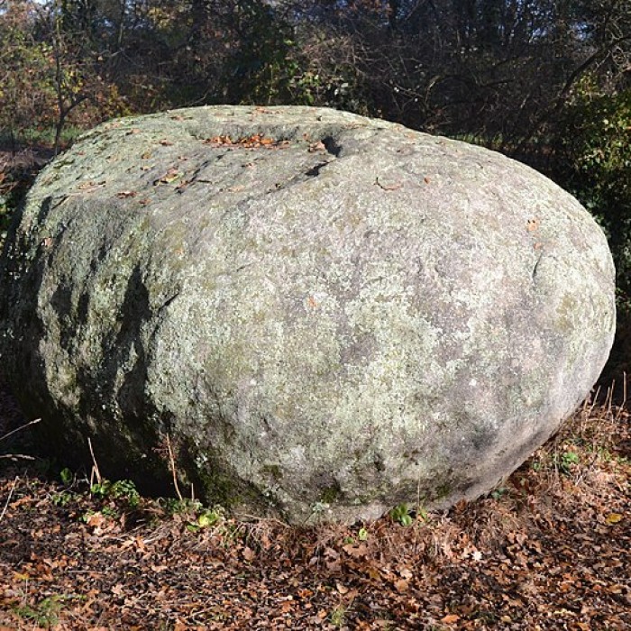 Photo de Pierre des Farfadets du Poiré-sur-Vie