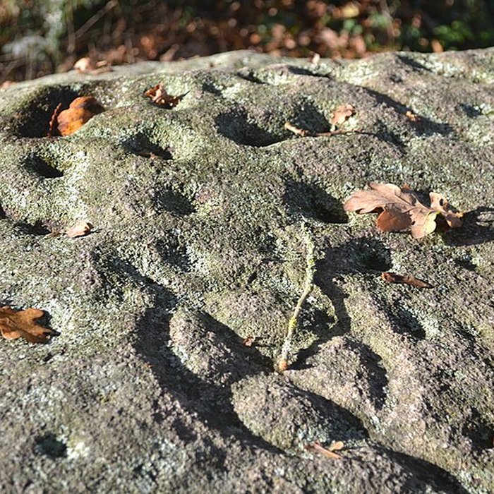 Photo de Pierre des Farfadets du Poiré-sur-Vie