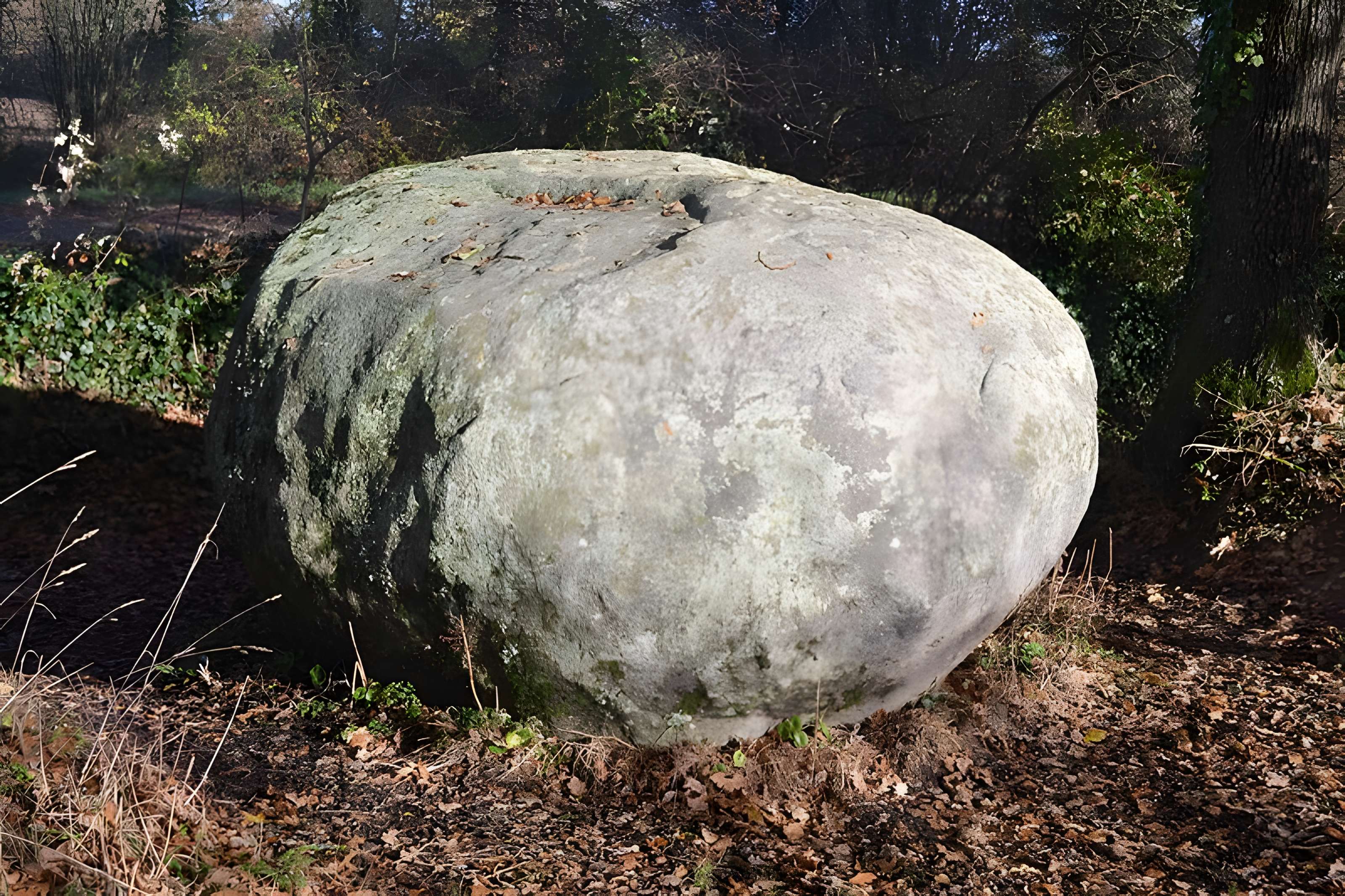 Pierre des Farfadets du Poiré-sur-Vie 