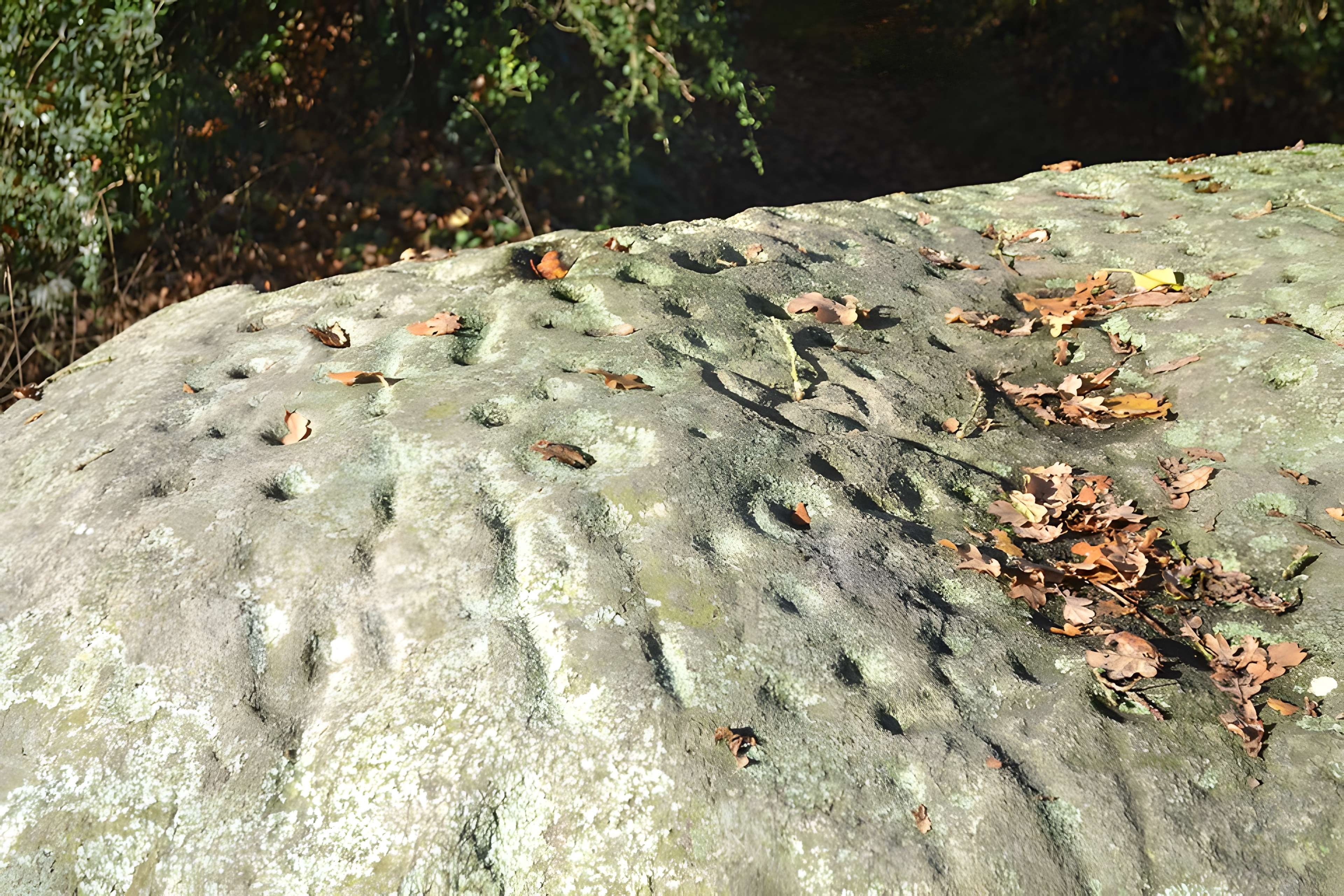 Pierre des Farfadets du Poiré-sur-Vie