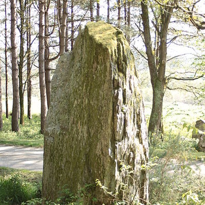 Photo de Pierre dressée dite Fuseau à Berthe de Sévérac