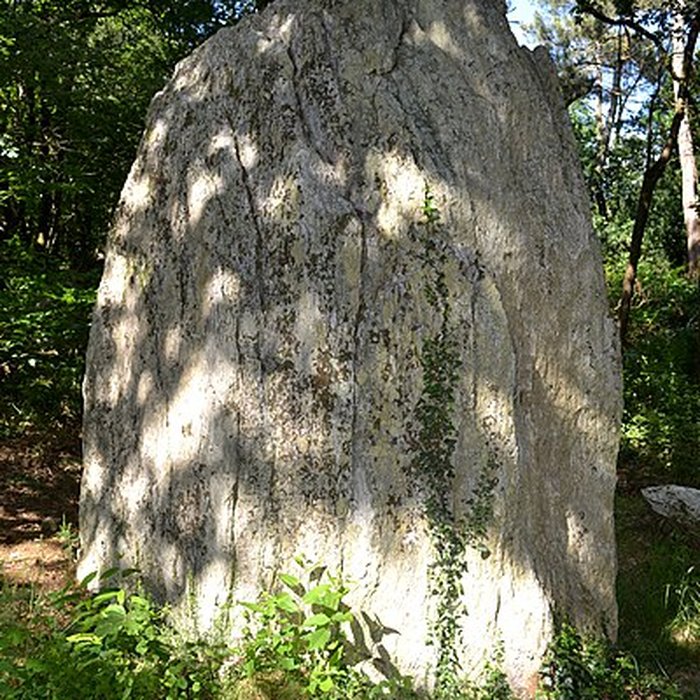 Photo de Pierre dressée dite Fuseau à Berthe de Sévérac