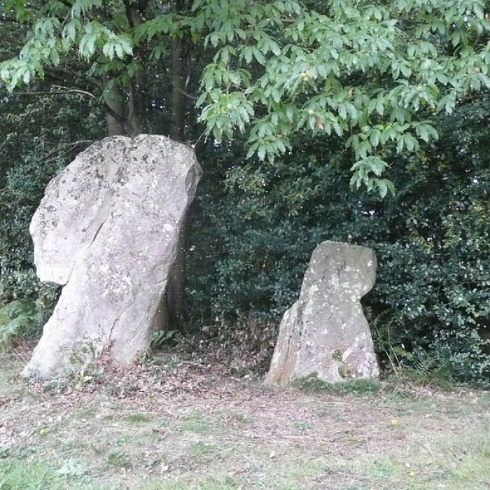 Photo de Ensemble mégalithique dit La Pierre du Coq