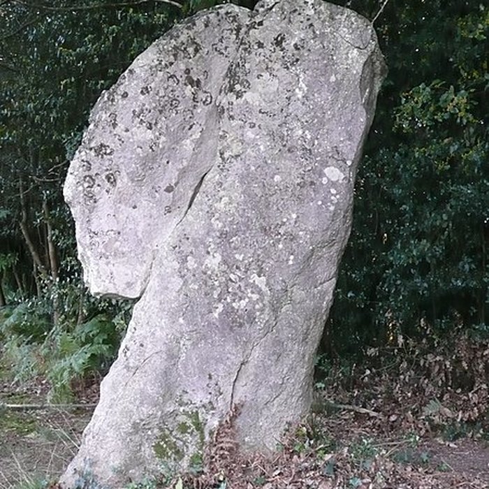 Photo de Ensemble mégalithique dit La Pierre du Coq
