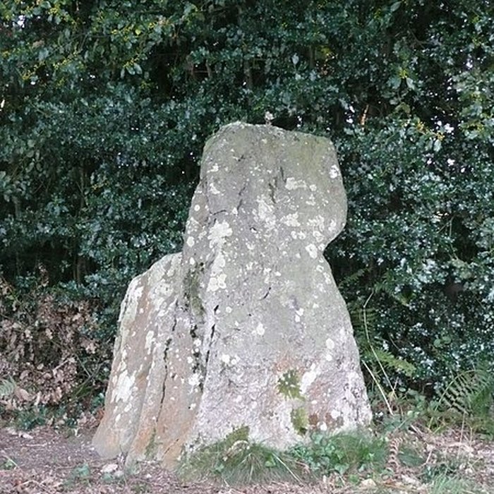 Photo de Ensemble mégalithique dit La Pierre du Coq