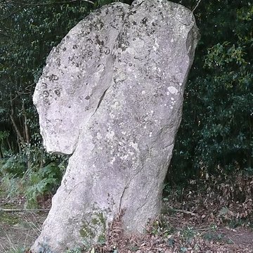 Ensemble mégalithique dit La Pierre du Coq