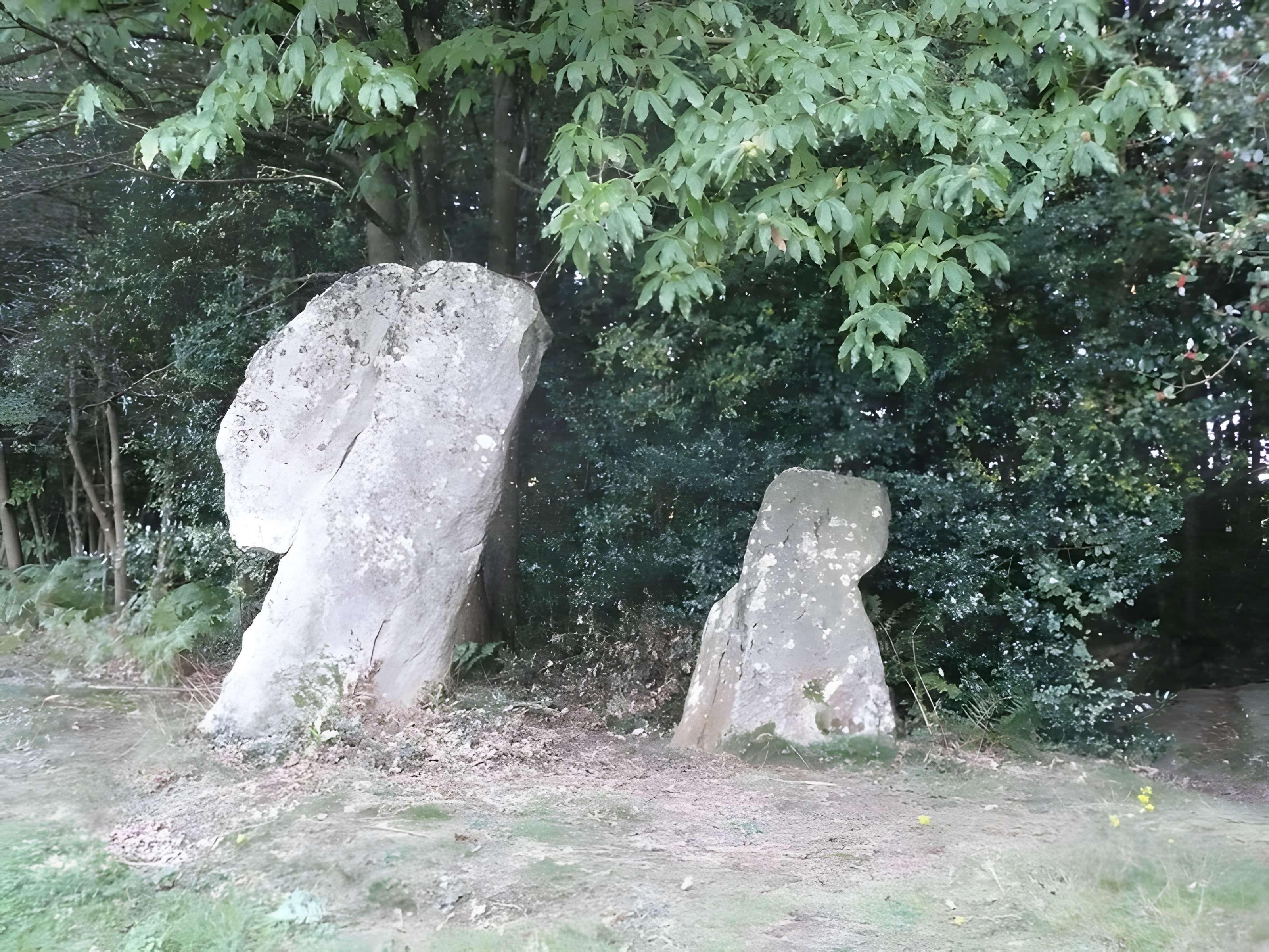 Pierre du Coq d'Échemiré 