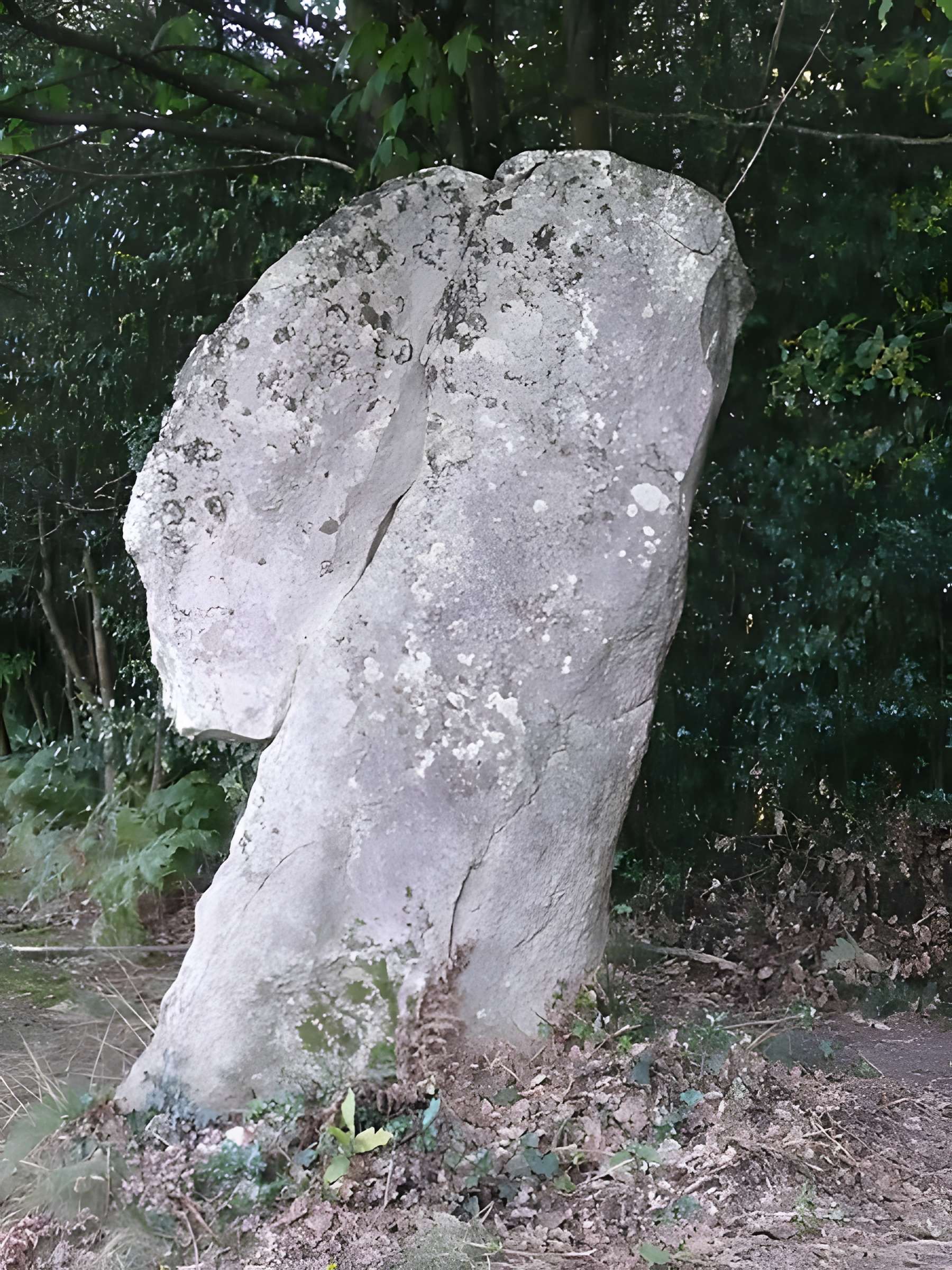 Ensemble mégalithique dit La Pierre du Coq