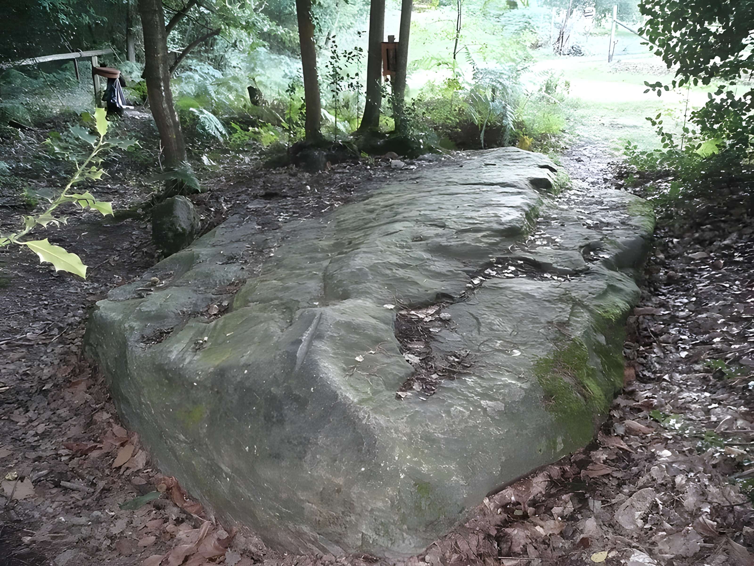 Ensemble mégalithique dit La Pierre du Coq