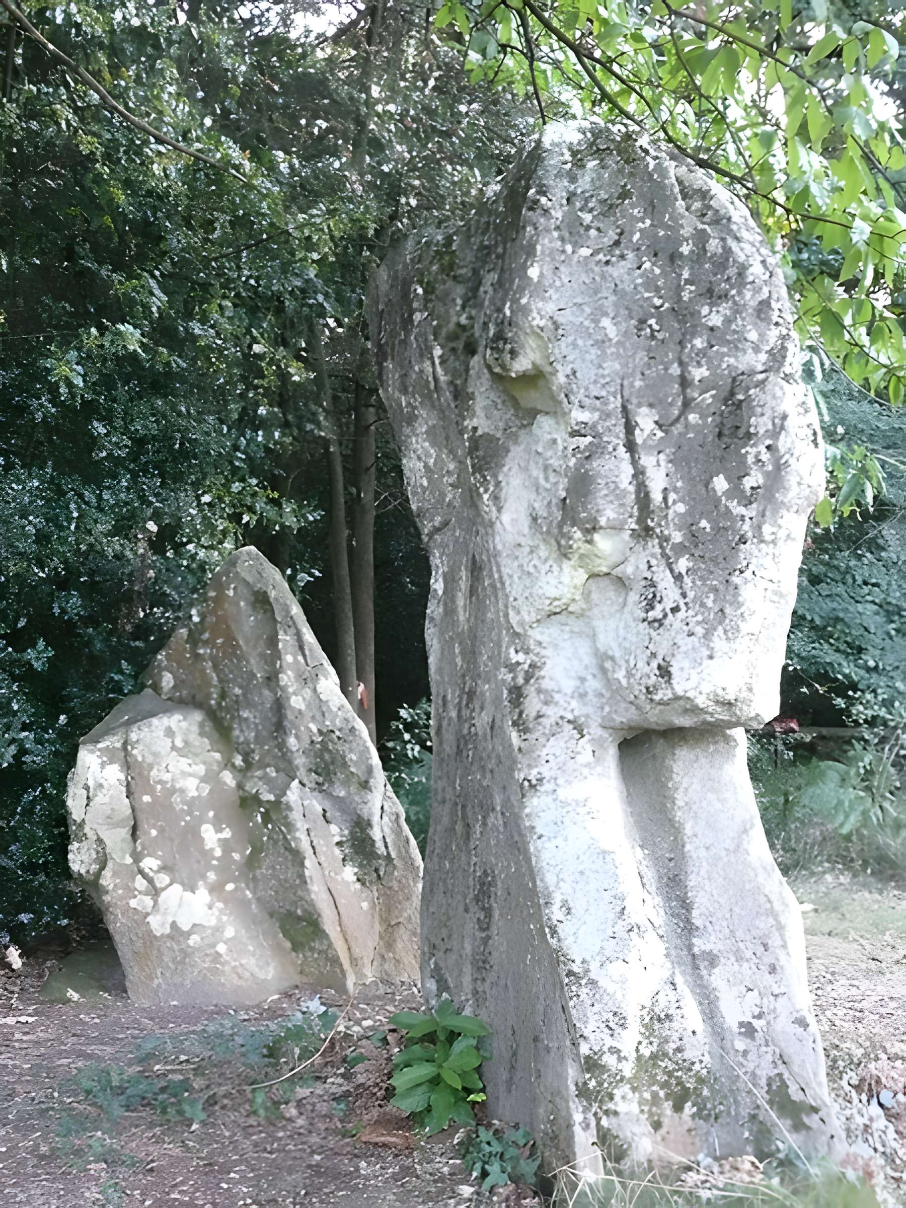 Ensemble mégalithique dit La Pierre du Coq