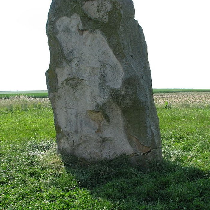 Photo de Menhir dit La Pierre du Diable ou La Borne des Pierres