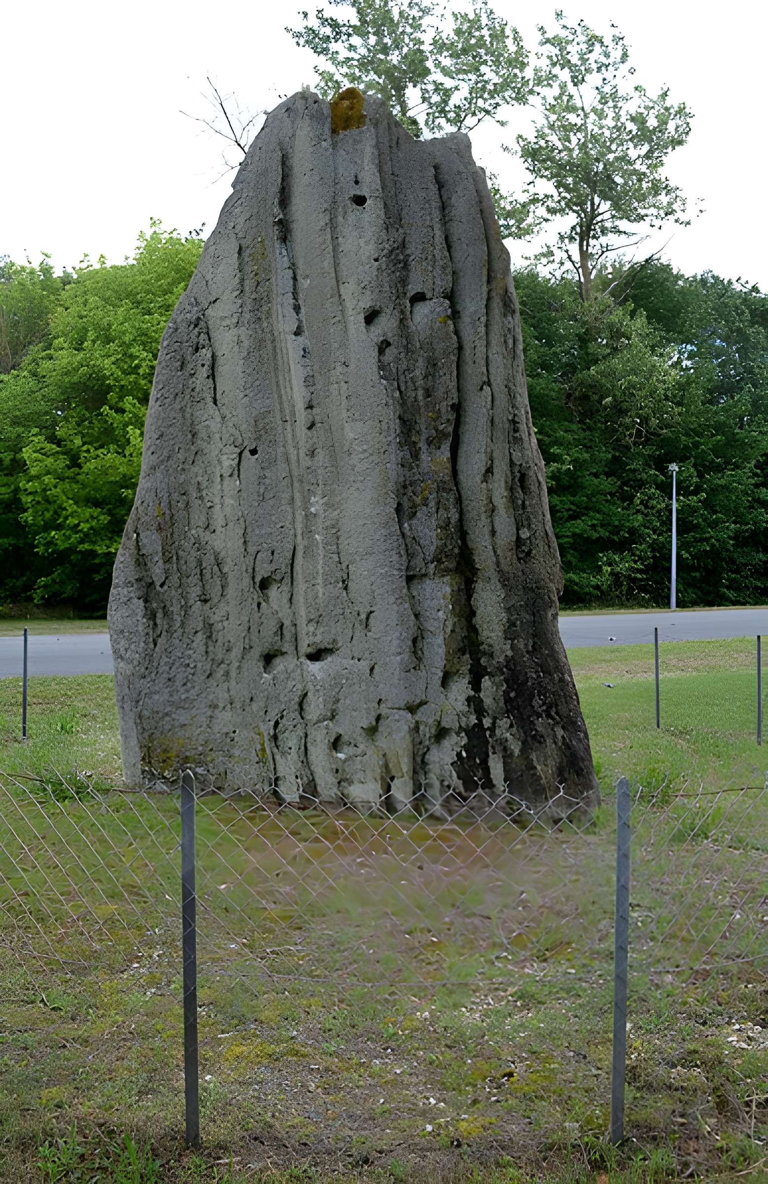 Pierre Fitte de Saint-Cyr