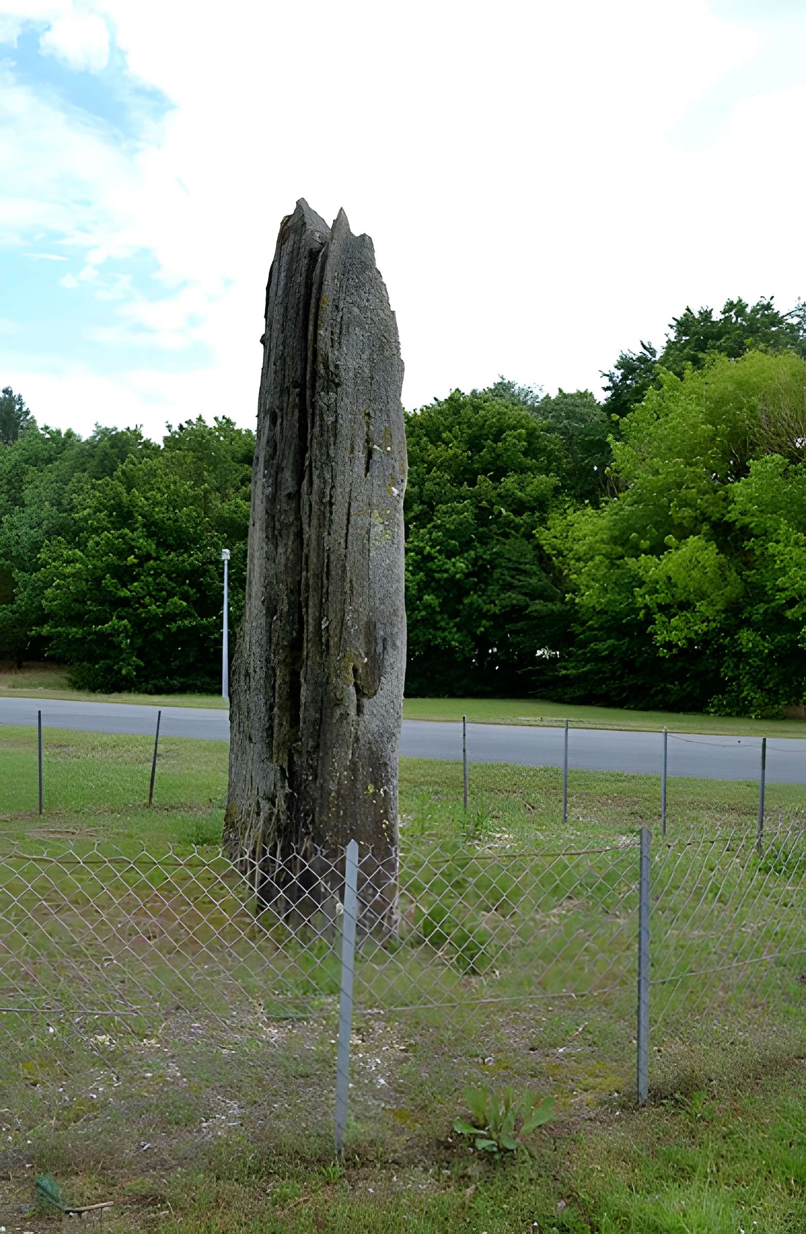 Pierre Fitte de Saint-Cyr