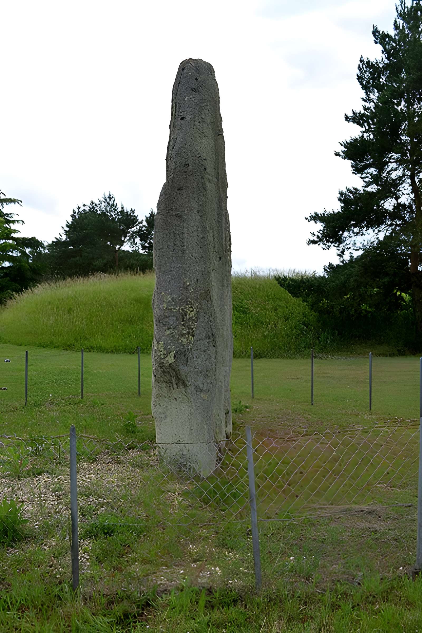 Pierre Fitte de Saint-Cyr