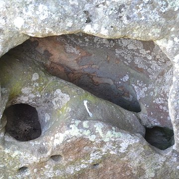 Pierre Folle de Montguyon