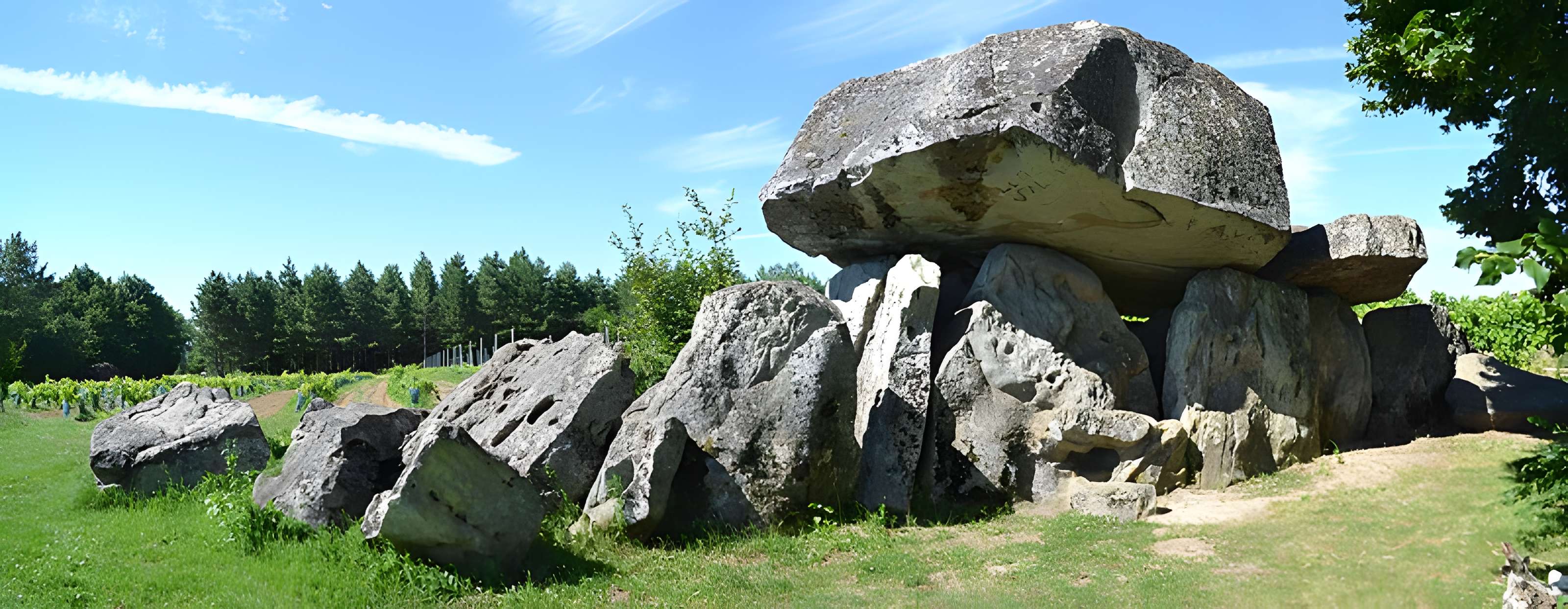 Pierre Folle de Montguyon