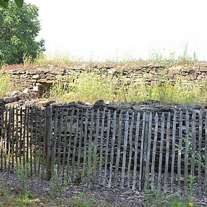 Photo de Pierre Folle des Cous de Bazoges-en-Pareds