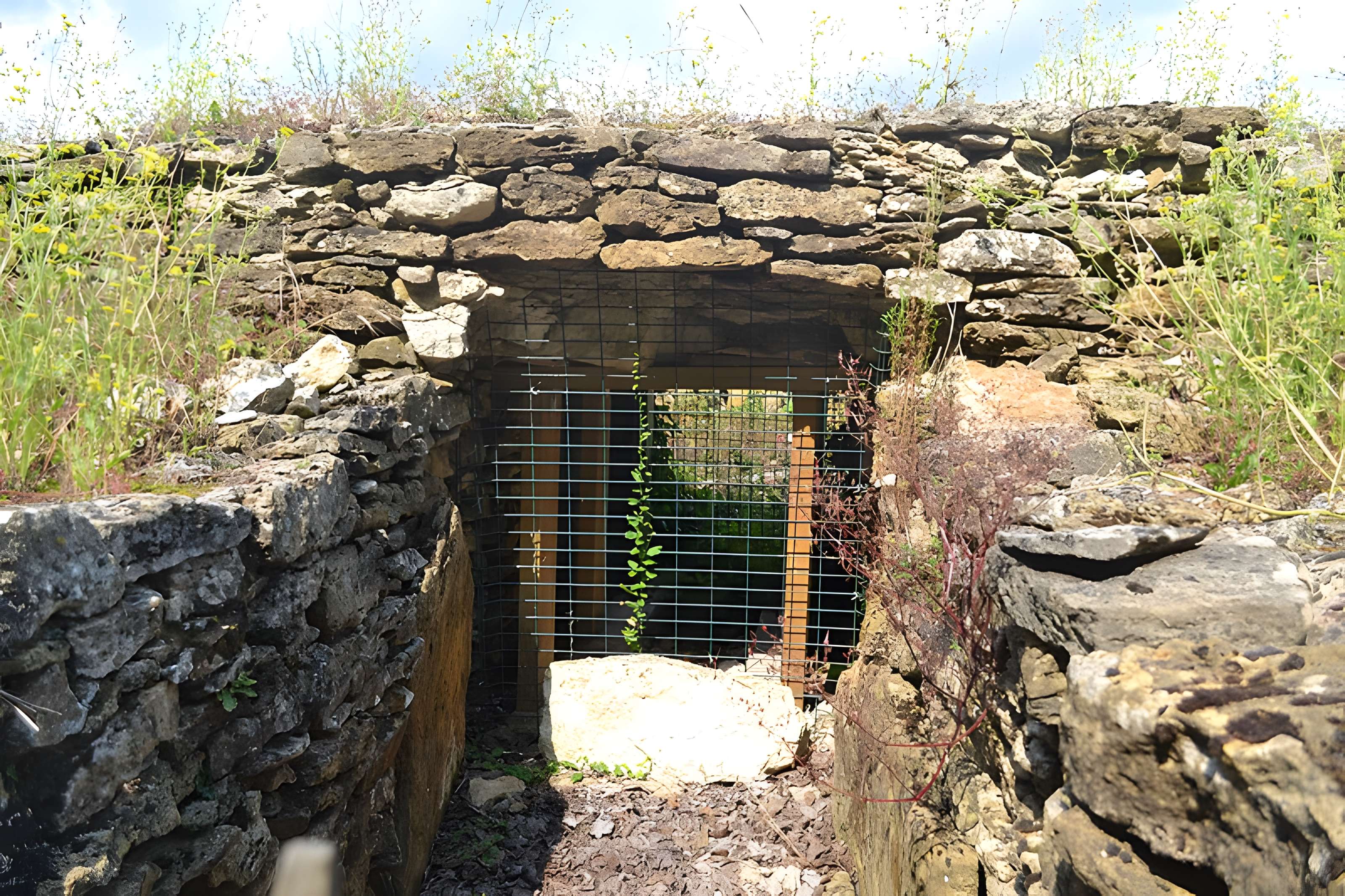 Pierre Folle des Cous de Bazoges-en-Pareds