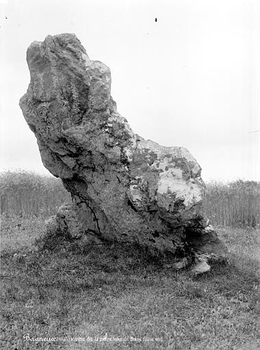 Photo de Pierre levée de Boisy à Bagneux