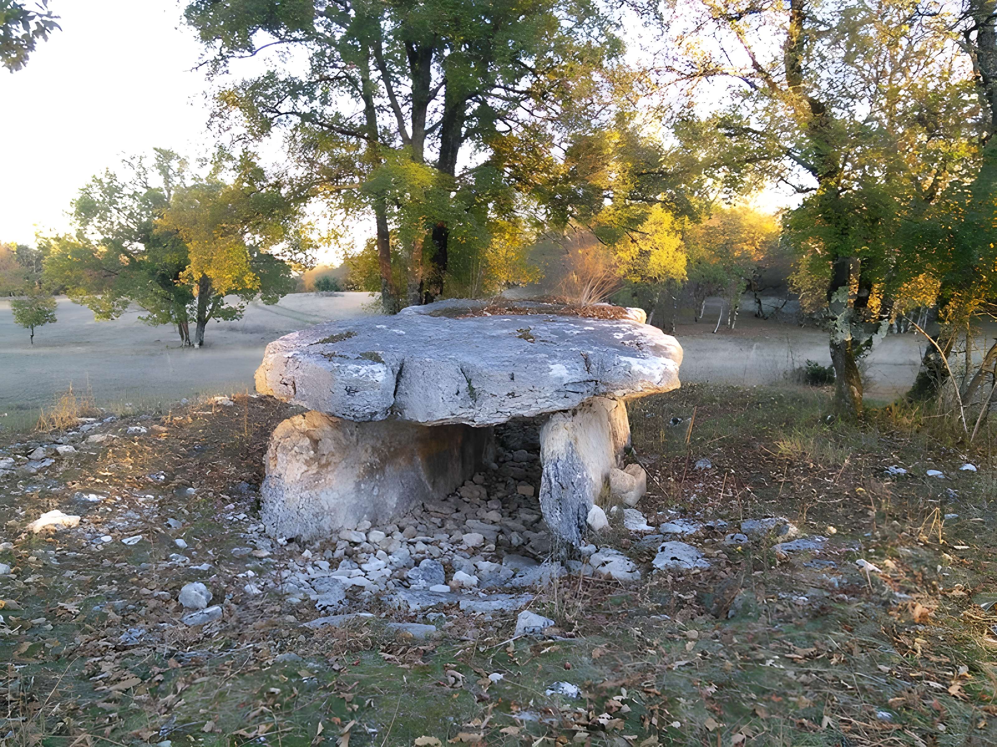Pierre Levée de Nougayrac de Fontanes-du-Causse 
