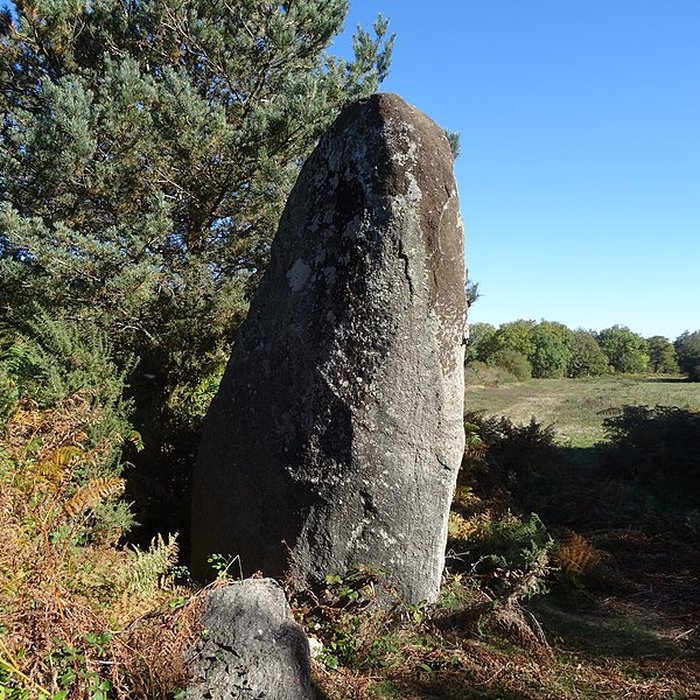 Photo de Pierre levée de Picarel de Saissac