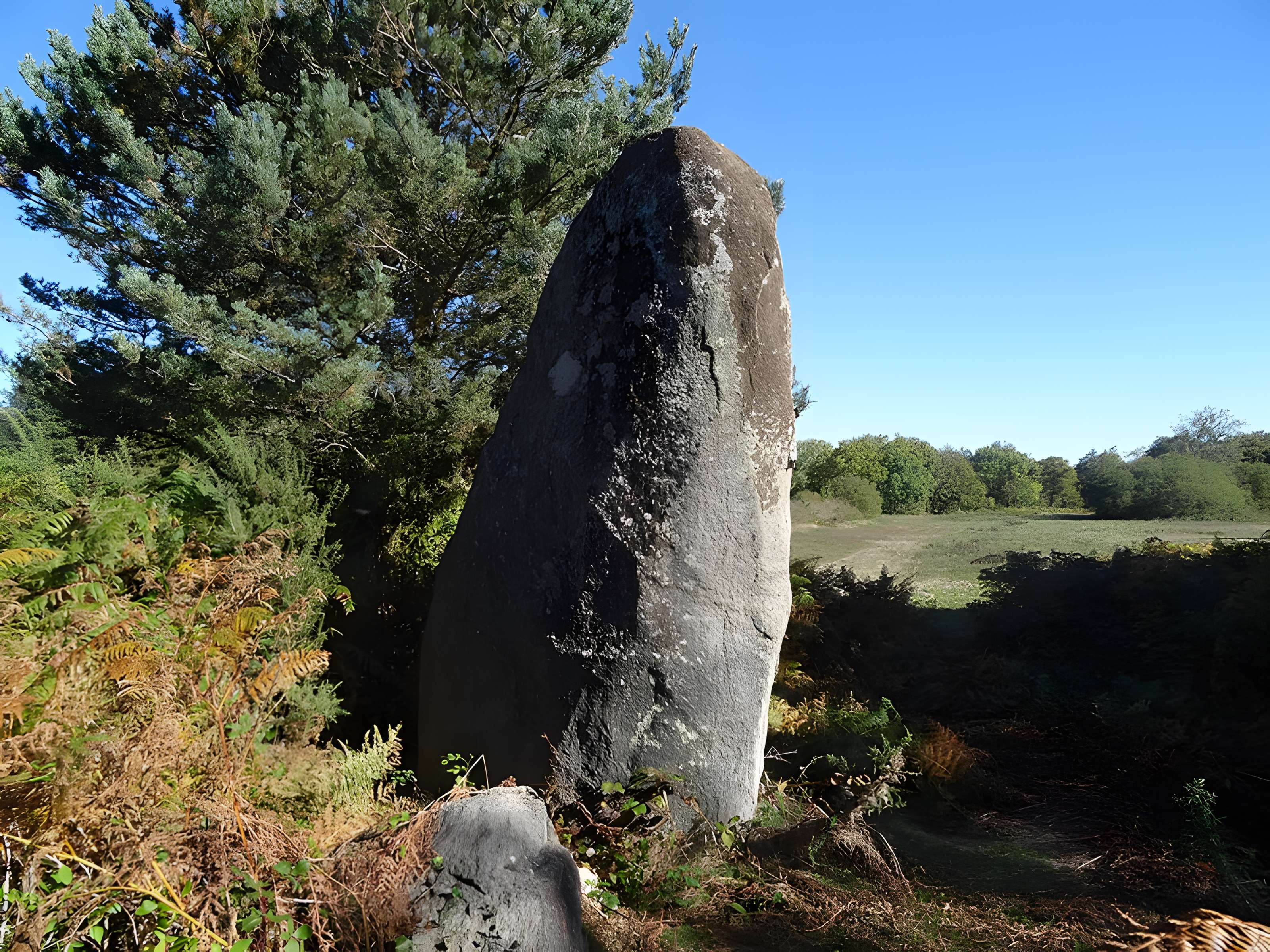 Pierre levée de Picarel de Saissac