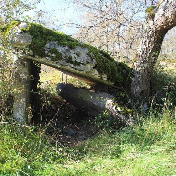 Photo de Pierre Levée dIssendolus