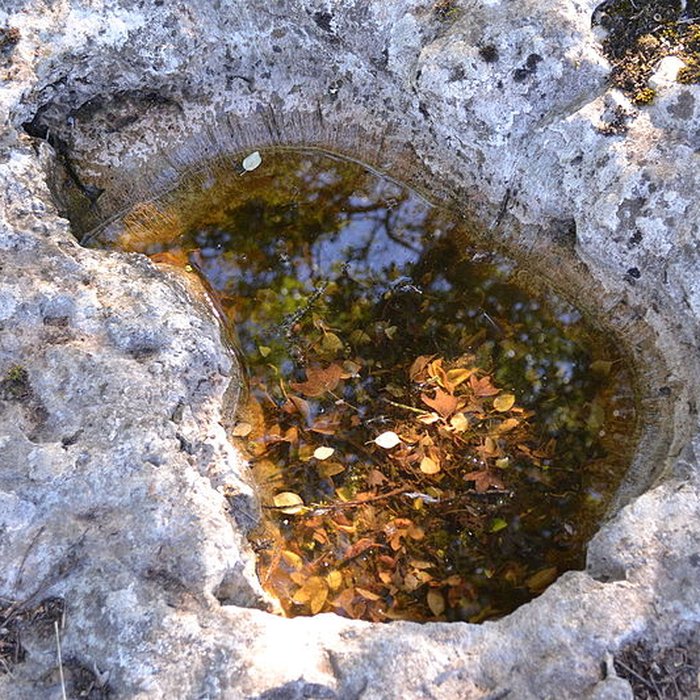 Photo de Pierre Levée dIssendolus