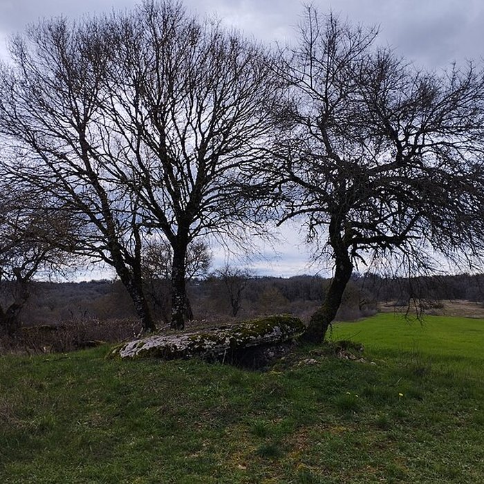 Photo de Pierre Levée dIssendolus