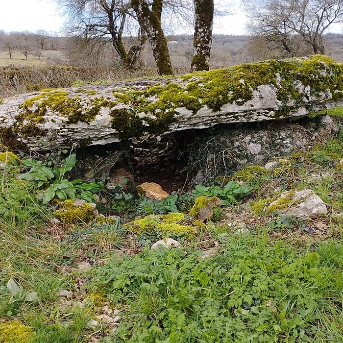 Photo de Pierre Levée dIssendolus