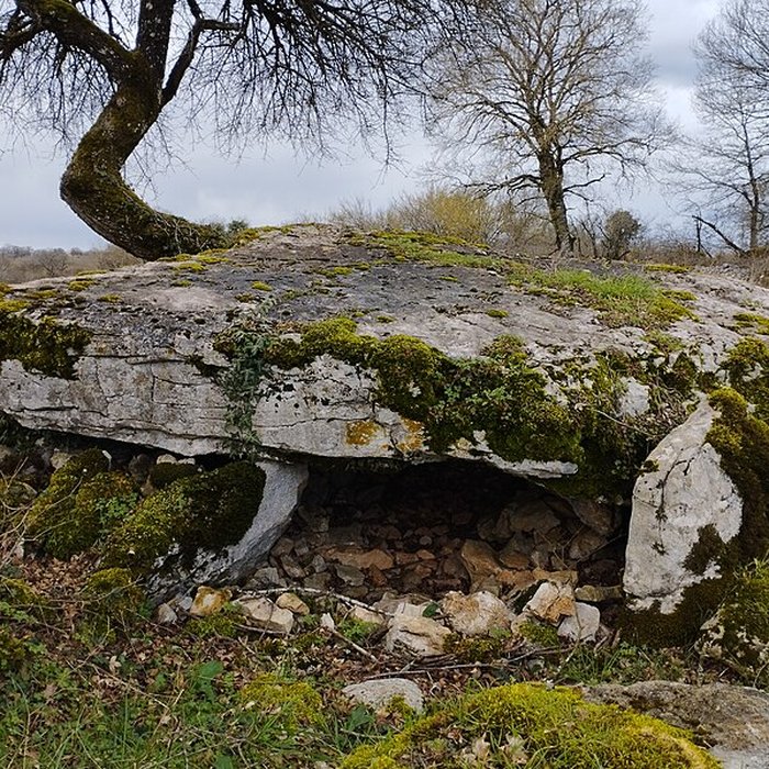 Photo de Pierre Levée dIssendolus