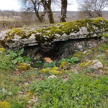 Pierre Levée dIssendolus