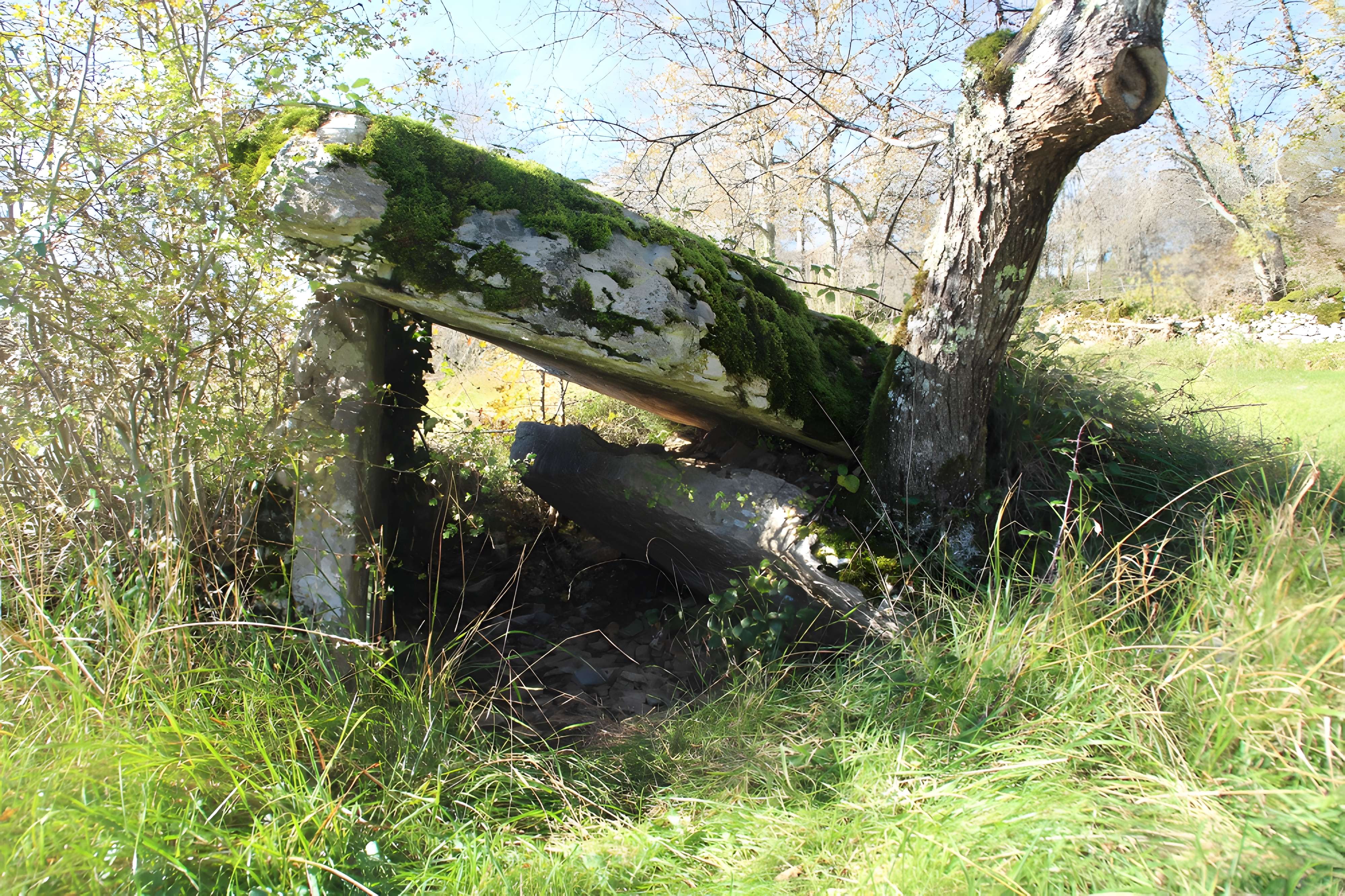 Pierre Levée d'Issendolus face