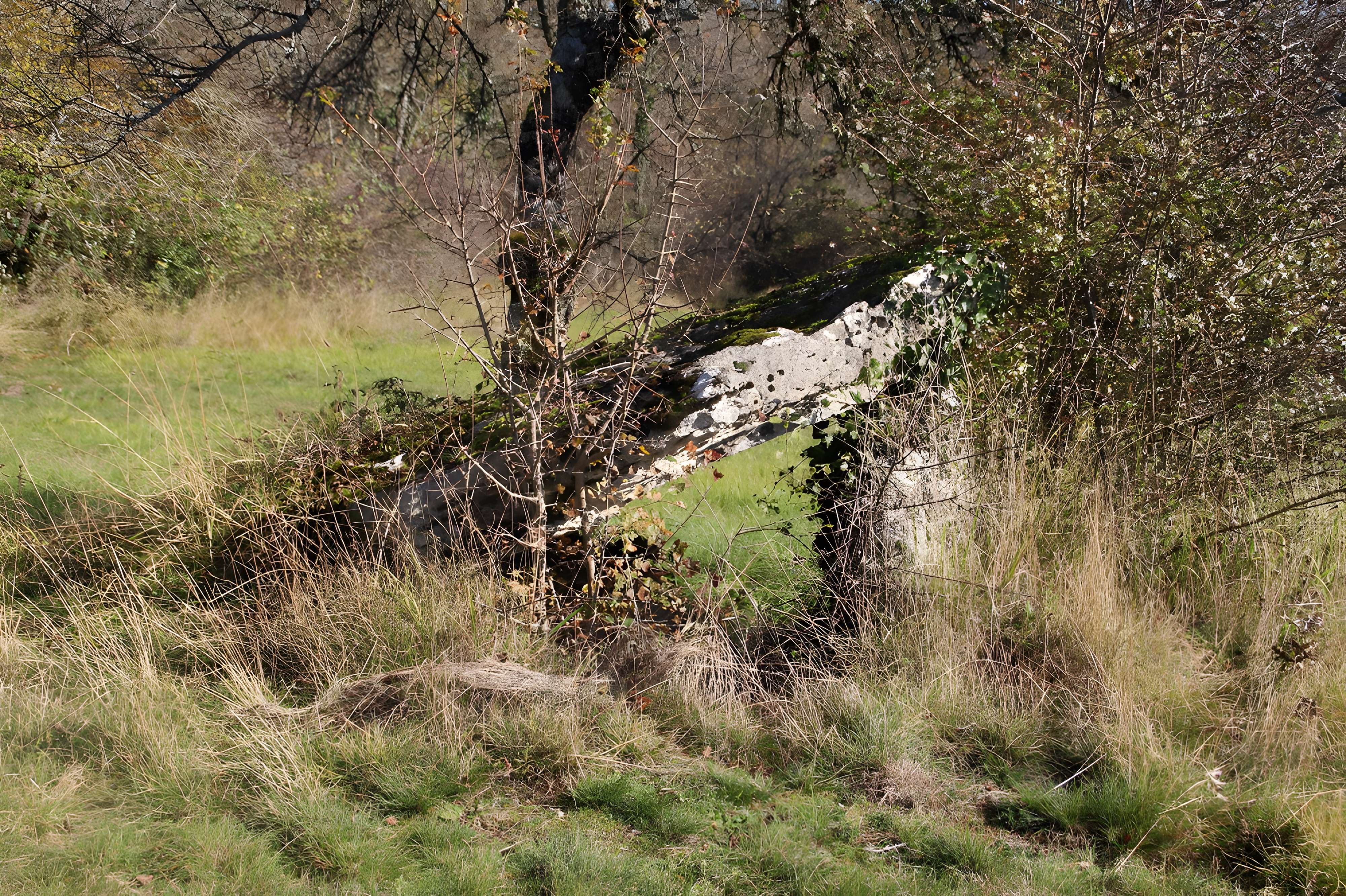 Pierre Levée d'Issendolus arrière