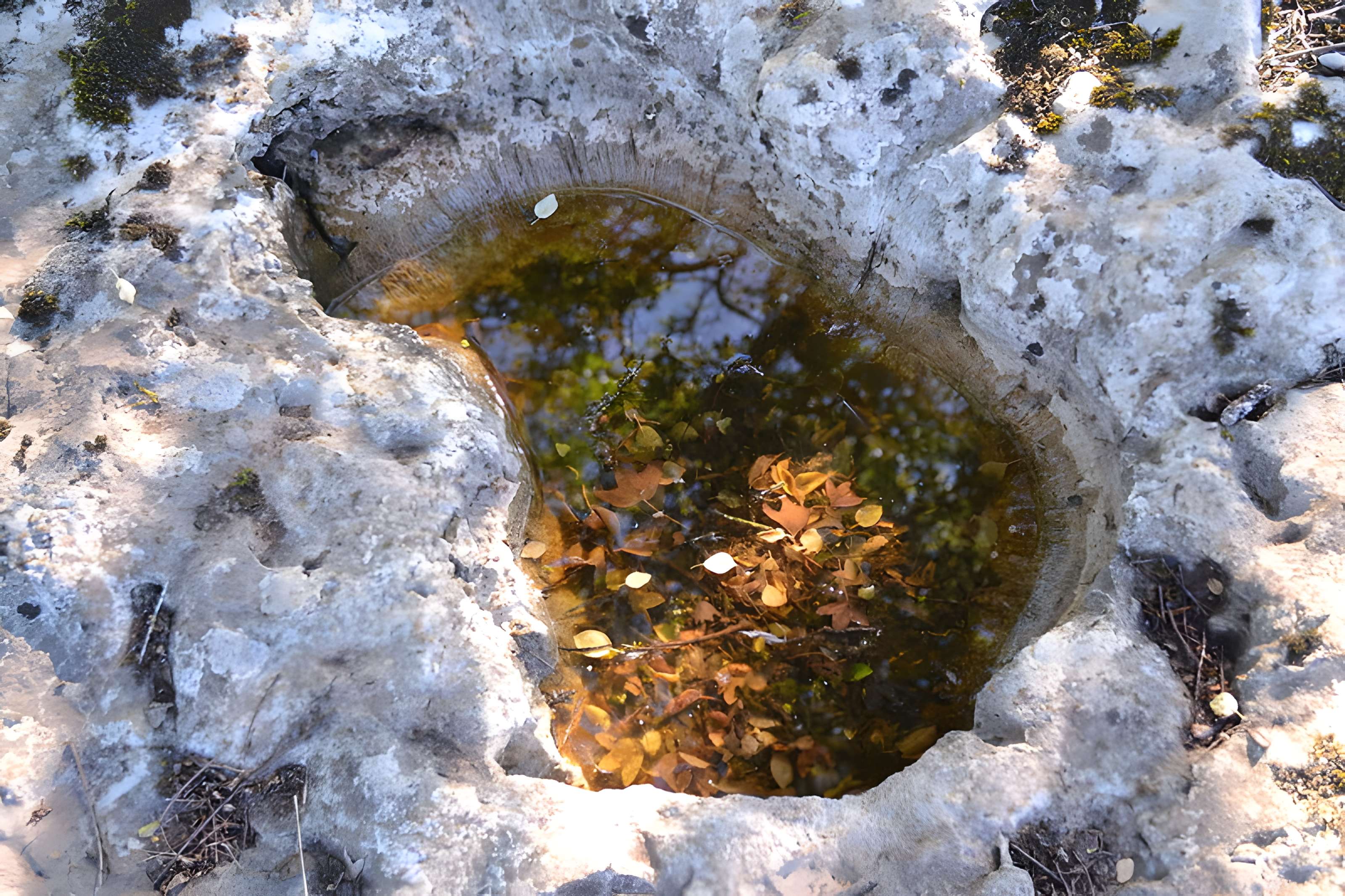 Pierre Levée d'Issendolus