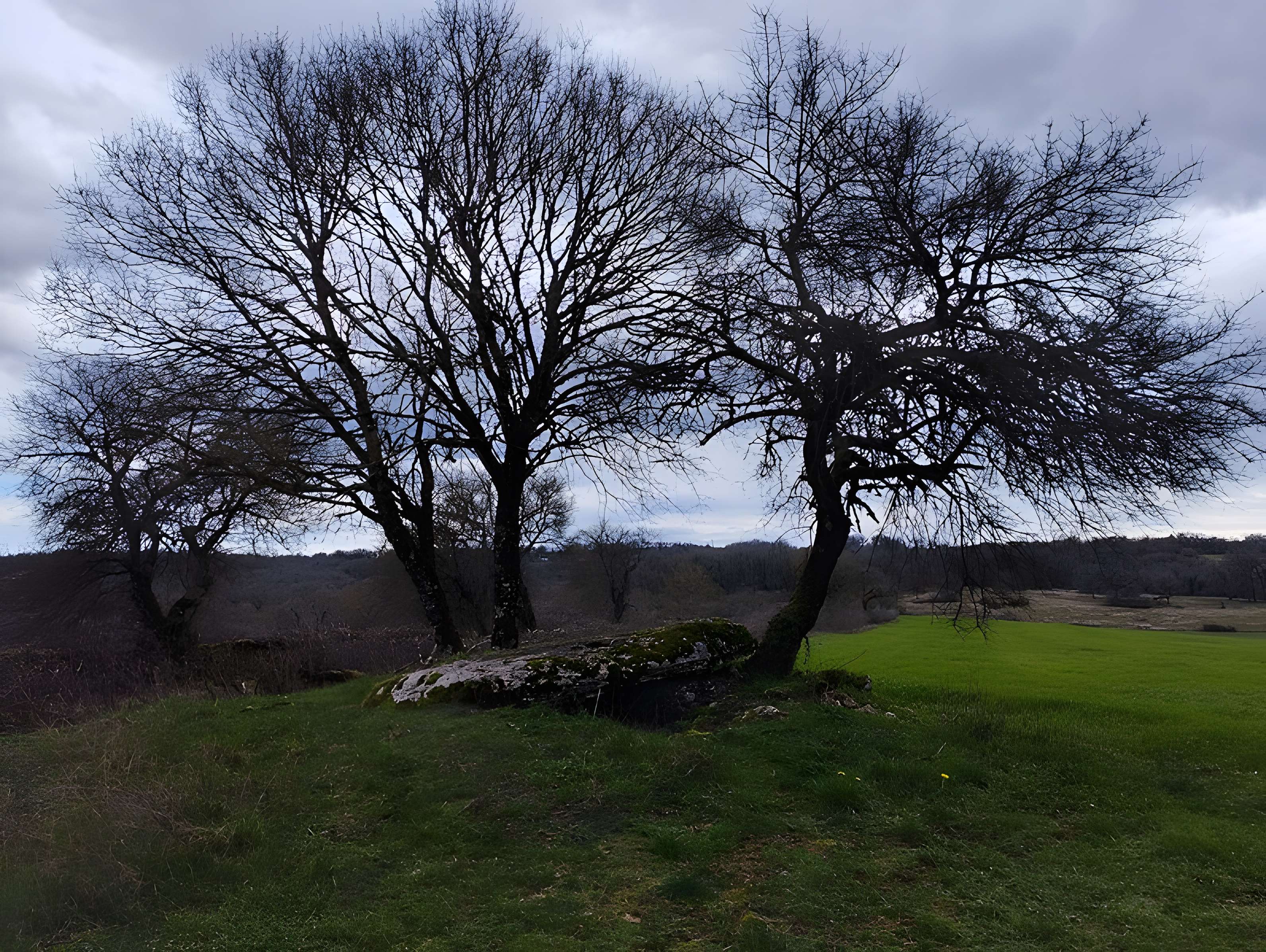 Pierre Levée d'Issendolus