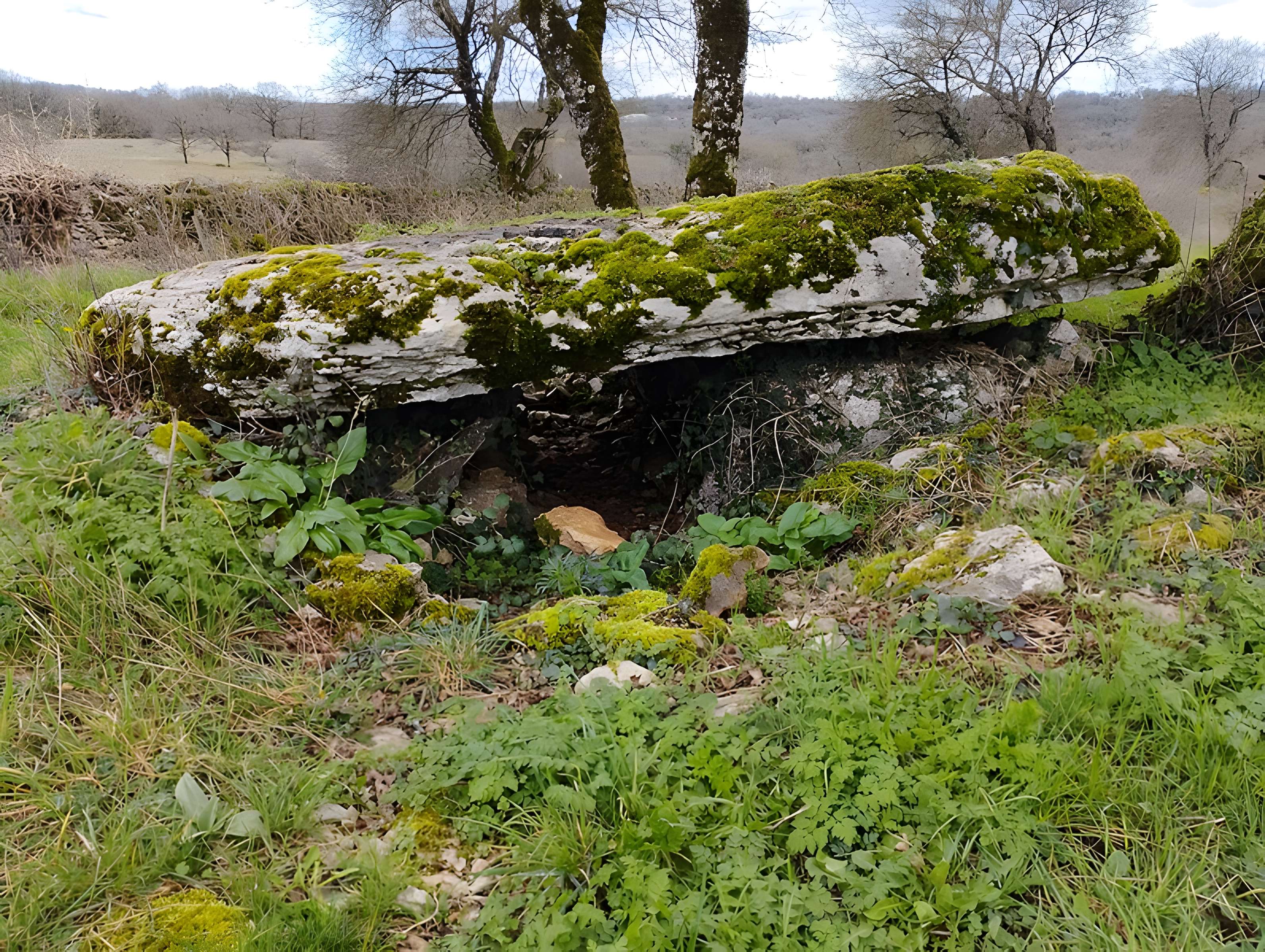 Pierre Levée d'Issendolus